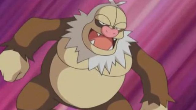 Pokémon From the Hoenn Region - slaking