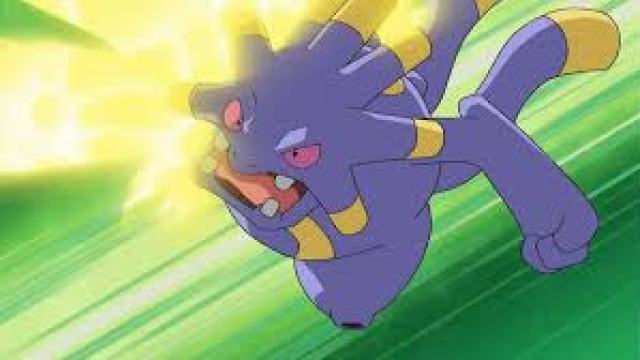 Pokémon From the Hoenn Region - exploud