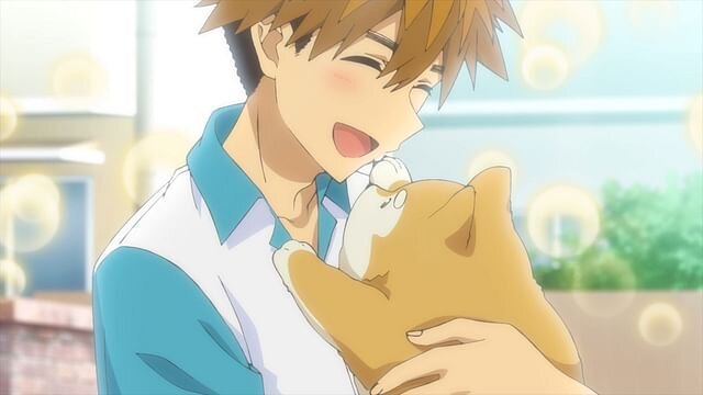 10 Cutest Anime Pets That’ll Steal Your Heart
